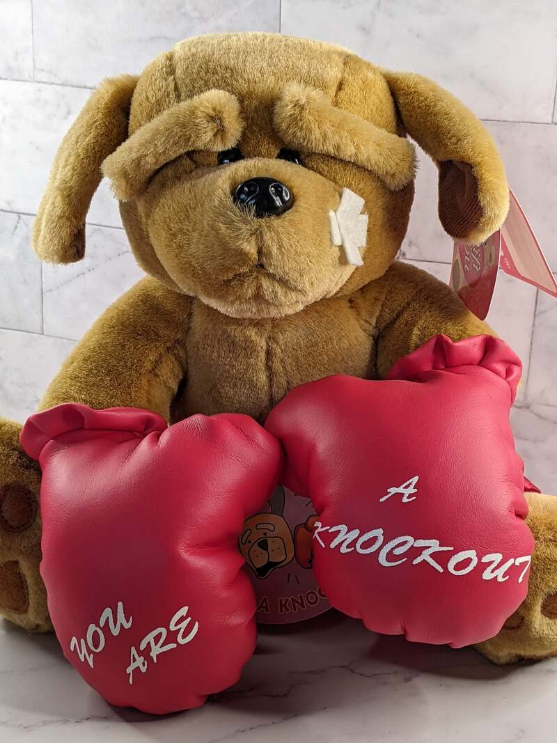 You Are a Knockout Stuffed Animal Dog